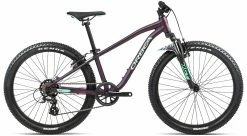 Orbea MX 24 XC