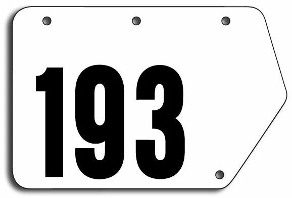 FS Plaques Cadre Route Etape Polyéthylène 13.5x9cm 3 FS Plaques Cadre Route Etape Polyéthylène 13.5x9cm